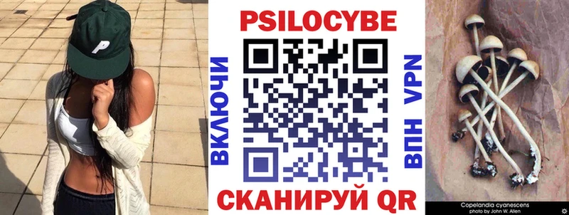 Псилоцибиновые грибы Psilocybe как найти закладки Снежногорск